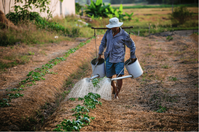 5 secteurs qui feront des MILLIARDAIRES en Afrique AGRICULTURE
